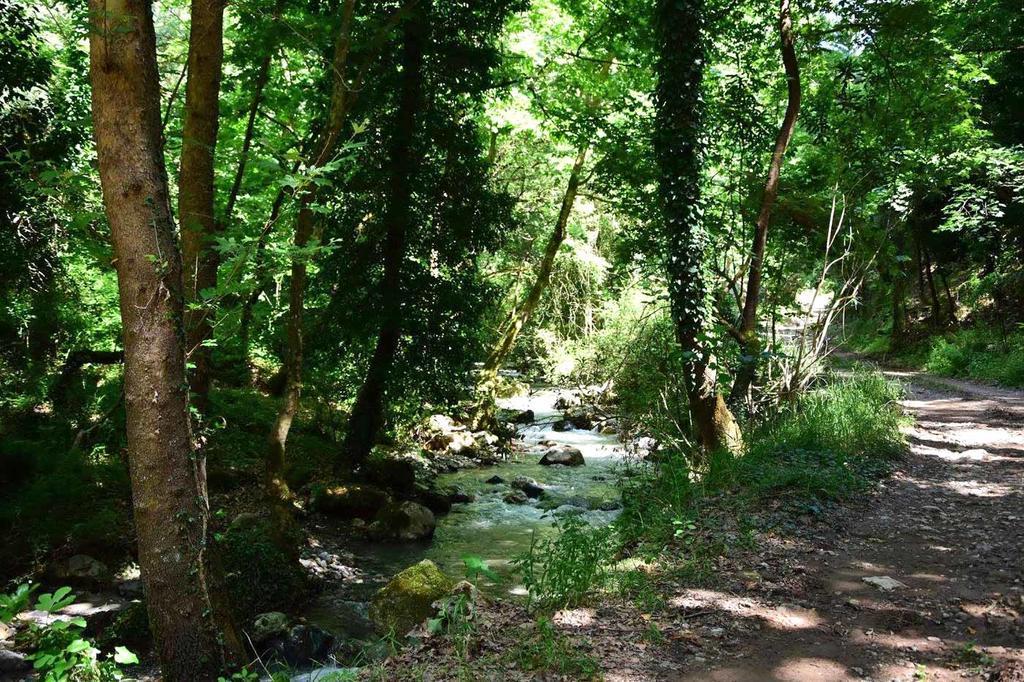 Villa Roxani Meskla Εξωτερικό φωτογραφία